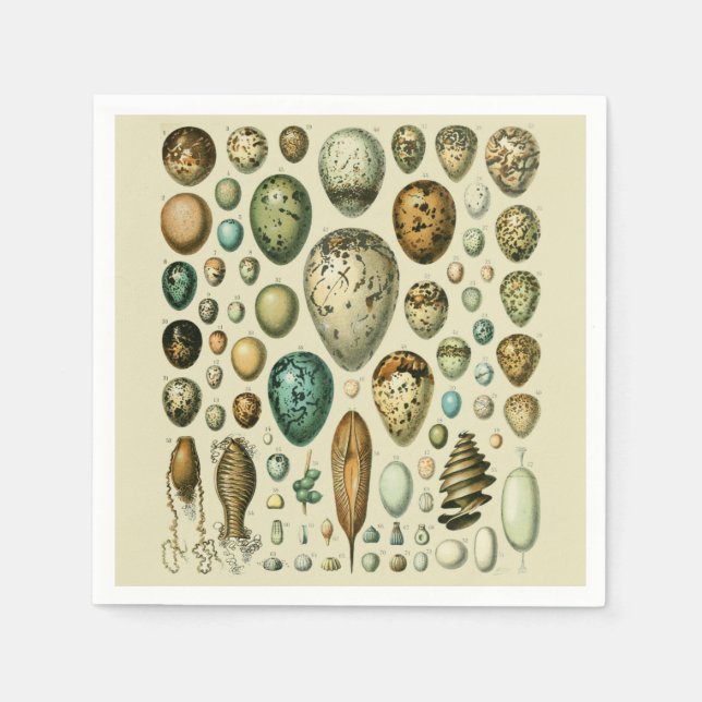 Vintage Bird Eggs French Fish Egg Art Napkins (Front)