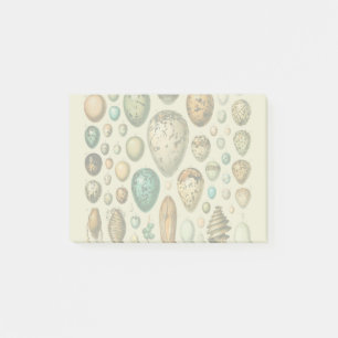 Vintage Bird Eggs French Fish Egg Art Post-it Notes