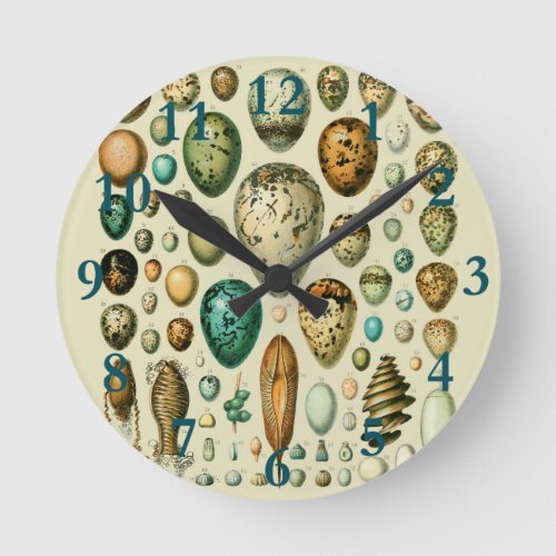 Vintage Bird Eggs French Fish Egg Art Round Clock