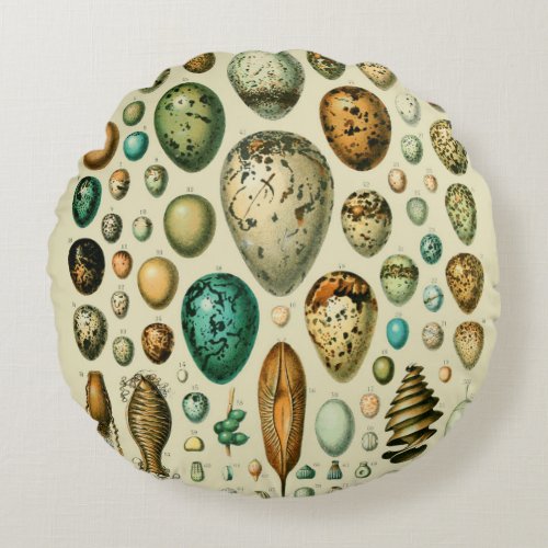 Vintage Bird Eggs French Fish Egg Art Round Pillow