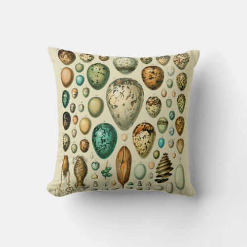 Vintage Bird Eggs French Fish Egg Art Throw Pillow