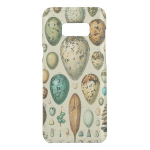 Vintage Bird Eggs French Fish Egg Art Uncommon Samsung Galaxy S8+ Case