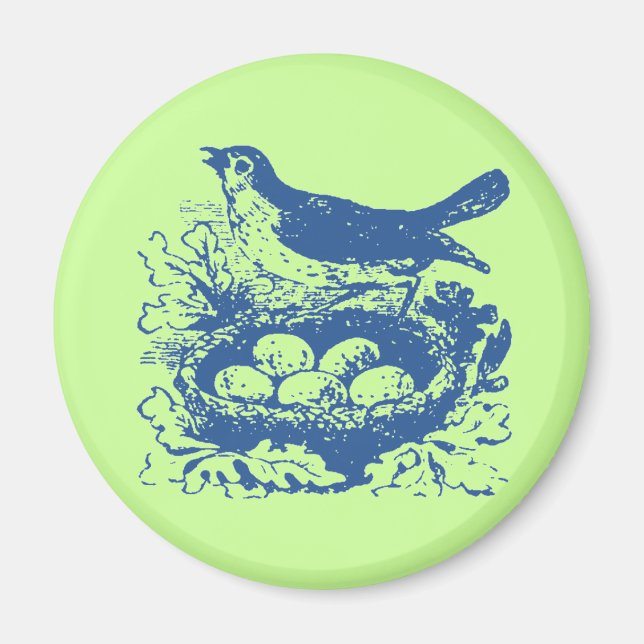 Vintage Bird Eggs & Nest Magnet (Front)