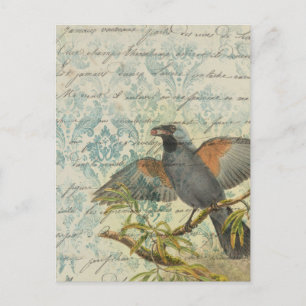 Vintage Bird Ephemera Decoupage Postcard