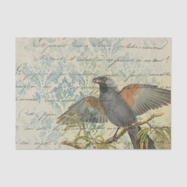 Vintage Bird Ephemera Decoupage Tissue Paper (Front)