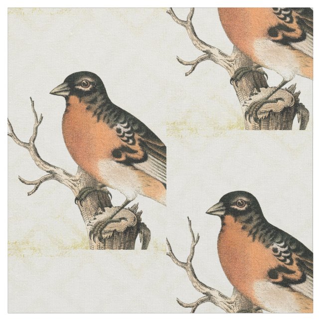 Vintage Bird Fabric (Close Up)