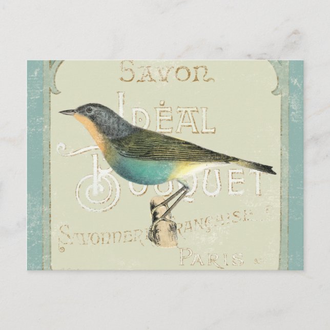 Vintage Bird Facing the Left Postcard (Front)