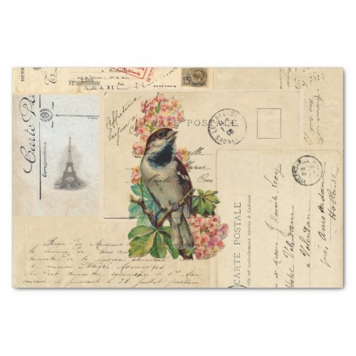 Vintage Bird Flowers French Postcards Tissue Paper