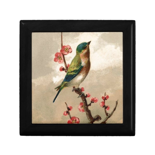 Vintage Bird Gift Box (Front)