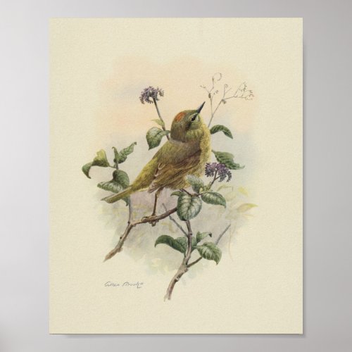Vintage Bird Green Brown Print