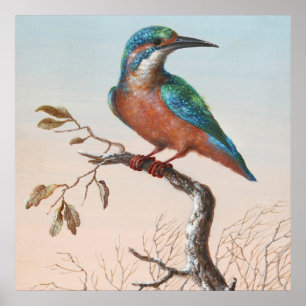 Vintage Bird Illustration Poster