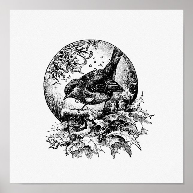 Vintage Bird Illustration Poster (Front)