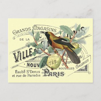 Vintage Bird In Fruit Tree Ephemera Collage Postcard by knottysailor at Zazzle