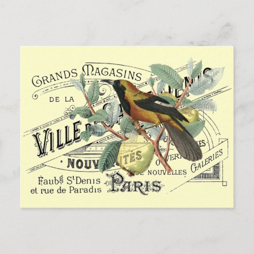 Vintage Bird in Fruit Tree Ephemera Collage Postcard