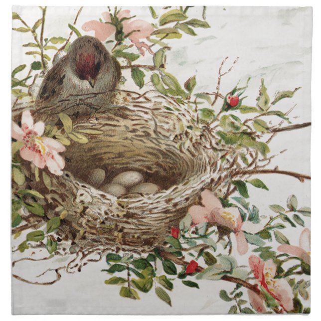 Vintage Bird in Nest Animal Print Cloth Napkin (Front)