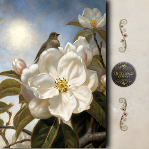 Vintage Bird Magnolia Bloom Decoupage Tissue Paper