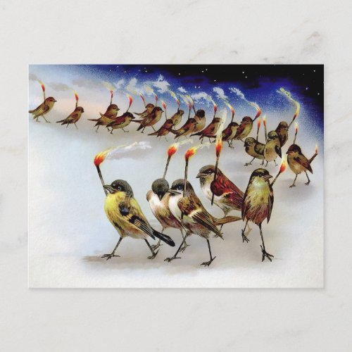Vintage Bird Mob Christmas Postcard