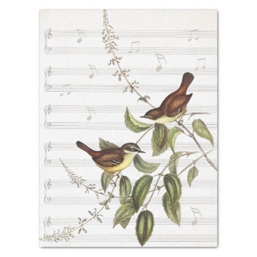 Vintage Bird Music Notes Decoupage  Tissue Paper