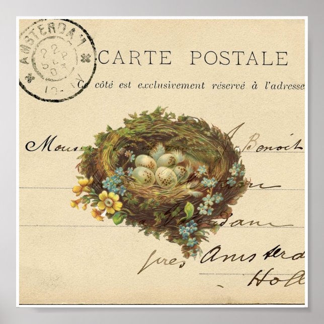 Vintage Bird Nest French Postcard Art Print (Front)