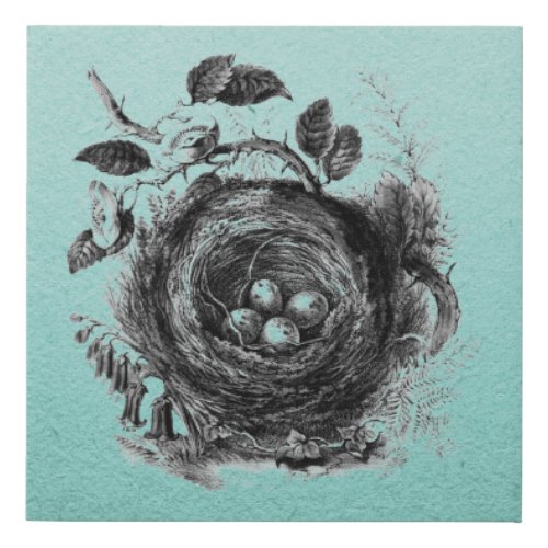 Vintage Bird Nest Illustration Faux Canvas Print