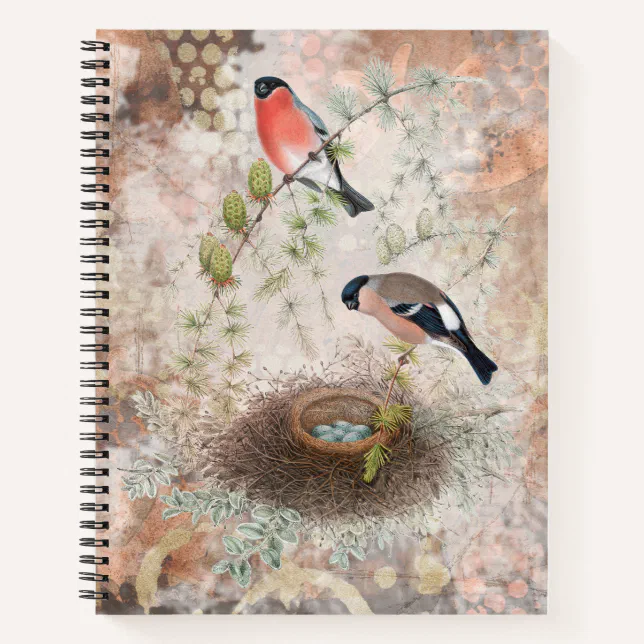 Bird Notebook Packs Vintage Bird Notebook | Zazzle