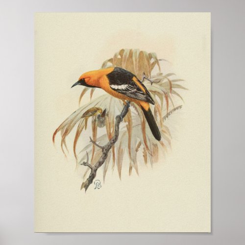 Vintage Bird Orange Black Print