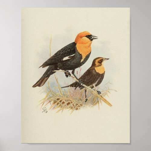 Vintage Bird Orange Black Print