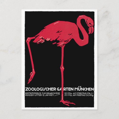 Vintage Bird Pink Flamingo at Germany Munich Zoo Postcard