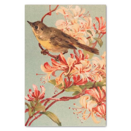 Vintage Bird pink flowers floral Tissue Paper