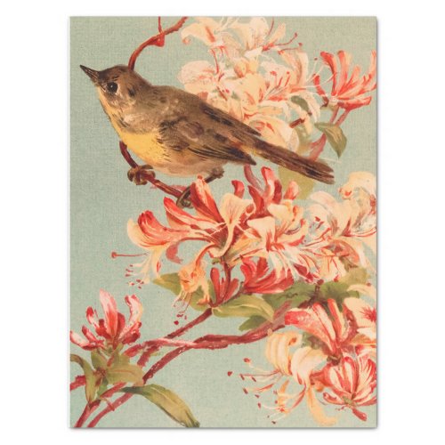 Vintage Bird pink flowers old illustration Tissue Paper