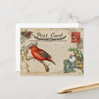 Vintage Bird Postcard
