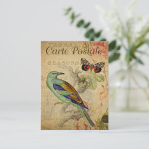 Vintage Bird Postcard Elegant Nature-Inspired