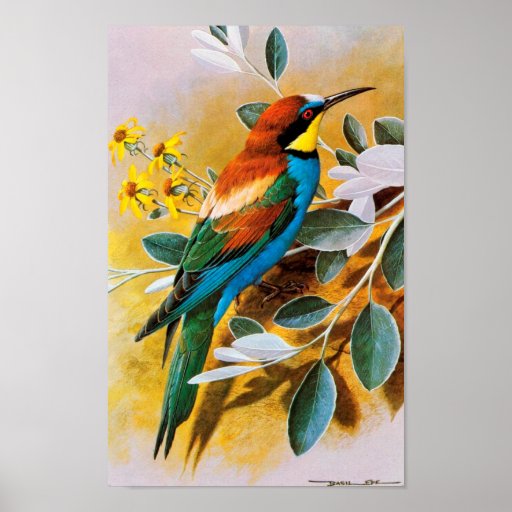 Vintage Bird Poster | Zazzle