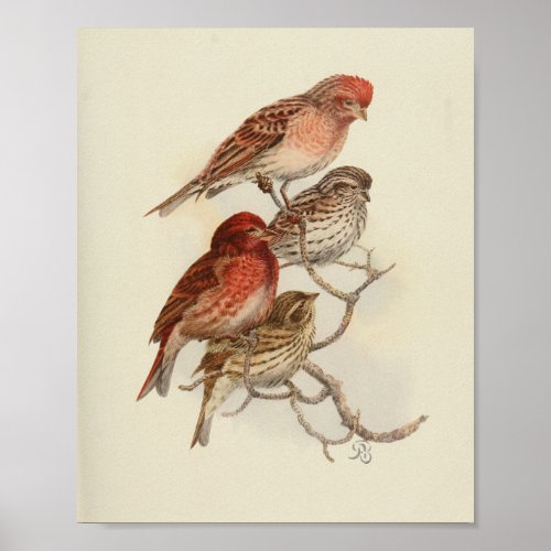 Vintage Bird Red Brown Speckled Print