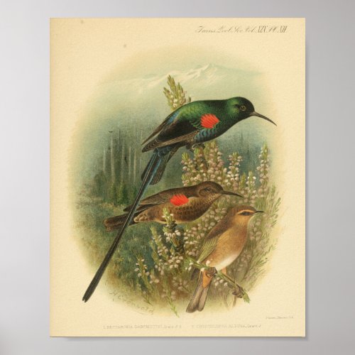 Vintage Bird Red Green Brown Print