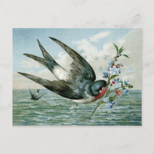 Vintage Bird with Flowering Branch Postcard