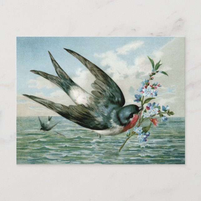Vintage Bird with Flowering Branch Postcard (Front)