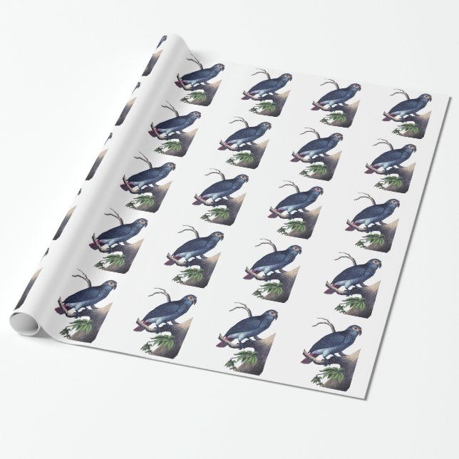 Vintage Bird Wrapping Paper (Unrolled)