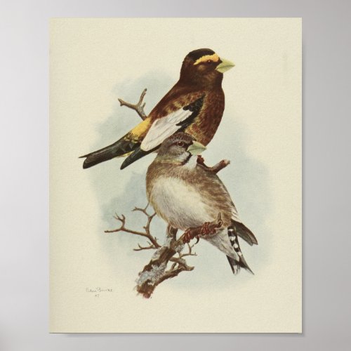 Vintage Bird Yellow Brown Print