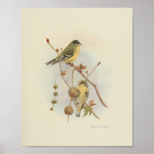 Vintage Bird Yellow Brown Print