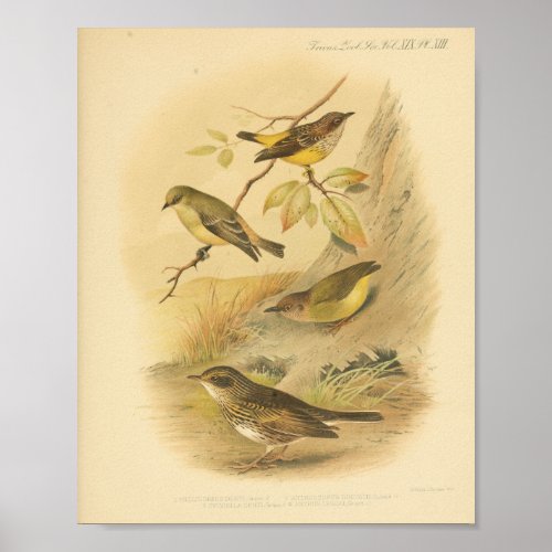 Vintage Bird Yellow Brown Print