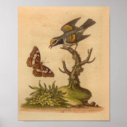 Vintage Bird Yellow Grey Print Butterfly