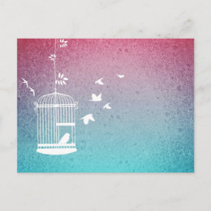 Vintage Birdcage and Birds Postcard