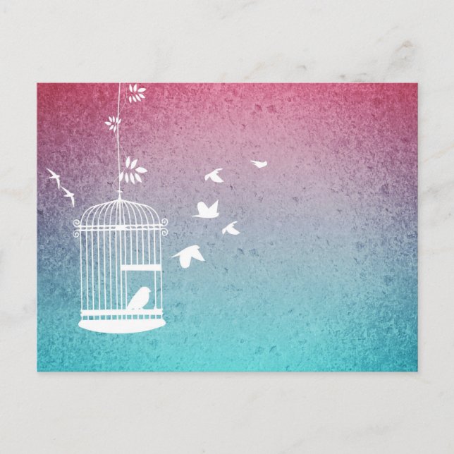 Vintage Birdcage and Birds Postcard (Front)