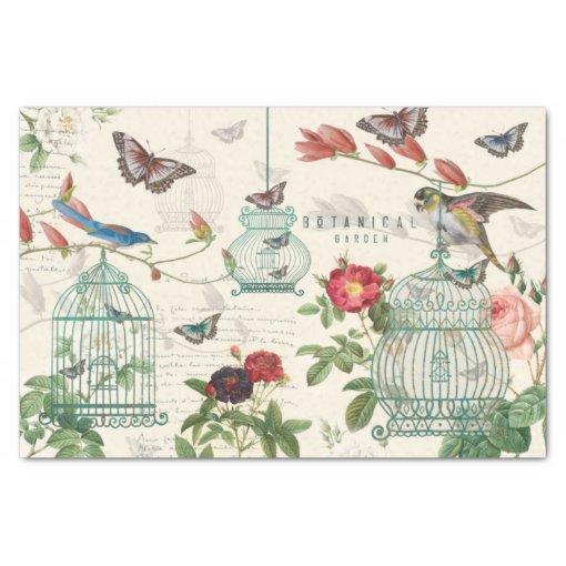Vintage Birdcage, Butterflies & Birds Decoupage Tissue Paper | Zazzle