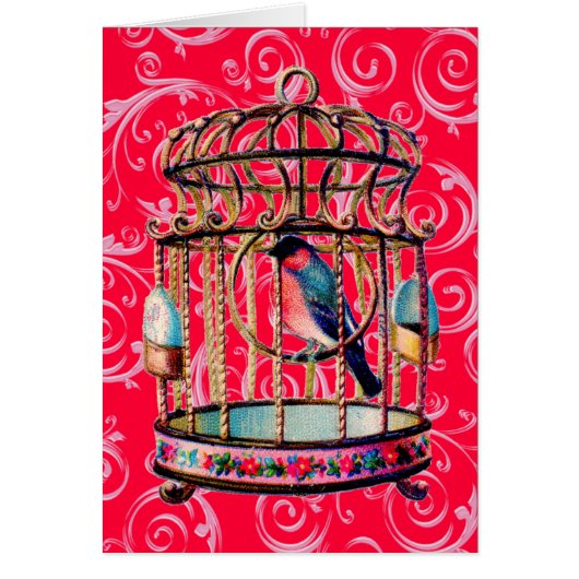 Vintage Birdcage Cards (Front)