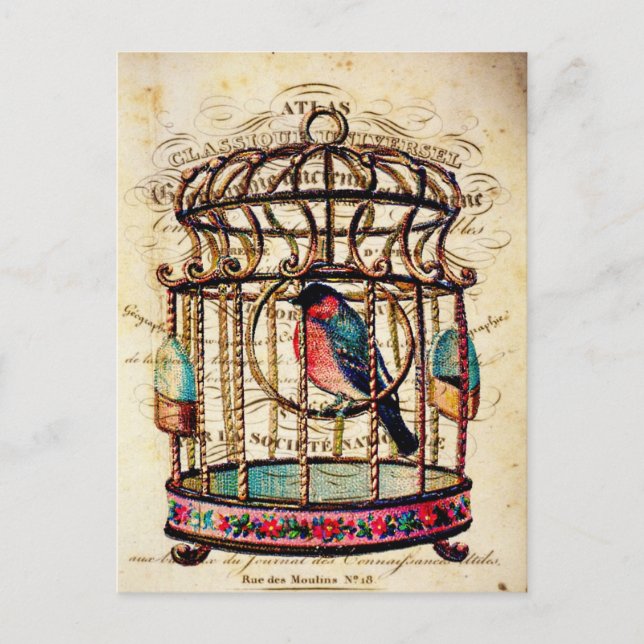 Vintage Birdcage French Paper Art Postcard (Front)