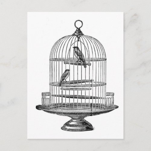 Vintage Birdcage with Birdspostcard Postcard