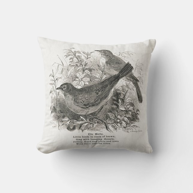 Vintage birds adorn this farmhouse pillow (Front)