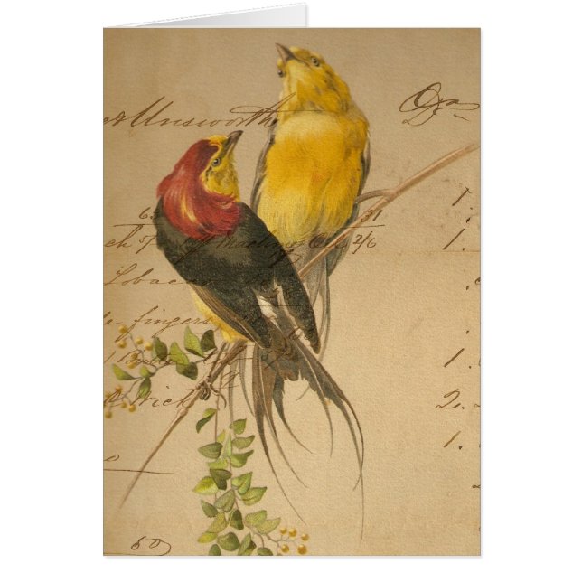 Vintage Birds and Ledger Paper (Front)